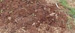 3b eröffnet Gartensaison 2025